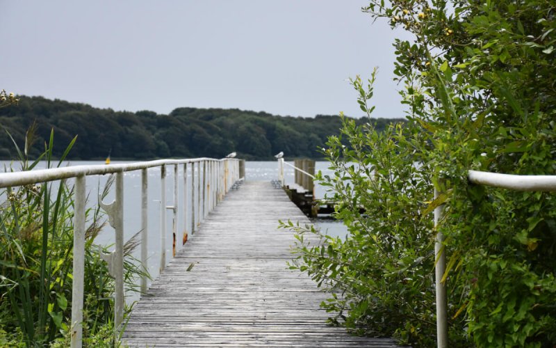 Bådebroen ved Kogtved Søfartsskole med udsyn over Svendborgsund